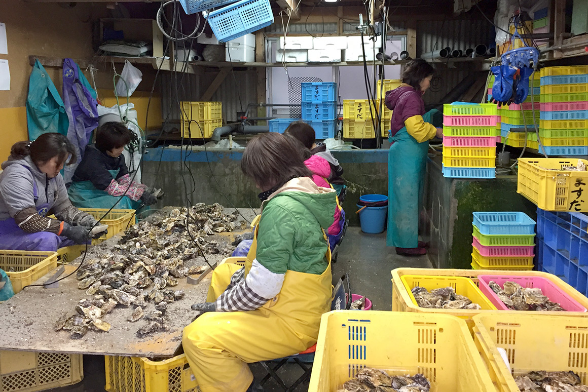 牡蠣の養殖工程